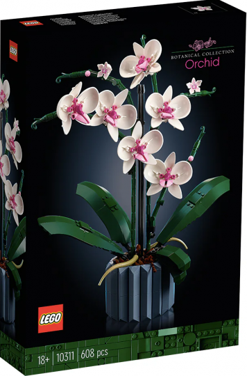 10311 - Orchid