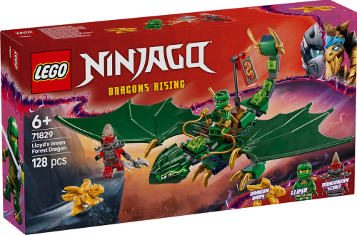 71829 - Lloyd's Green Forest Dragon
