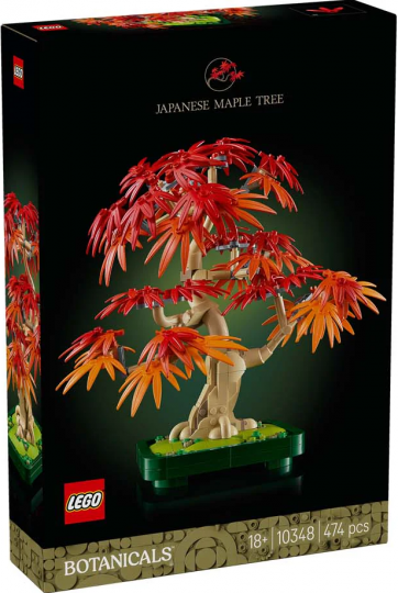 10348 - Japanese Red Maple Bonsai Tree