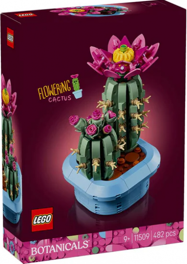 11509 - Flowering Cactus